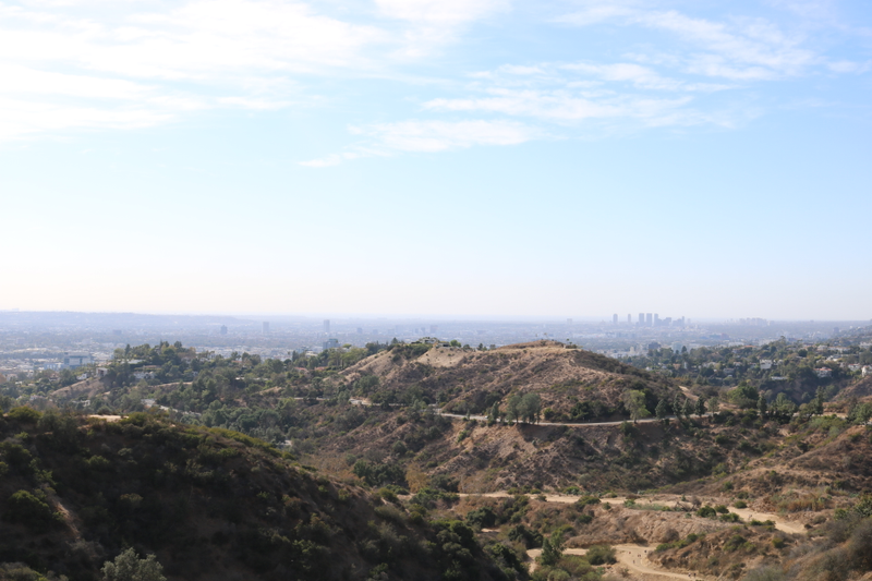 Illustration for article titled Griffith Park Photodump